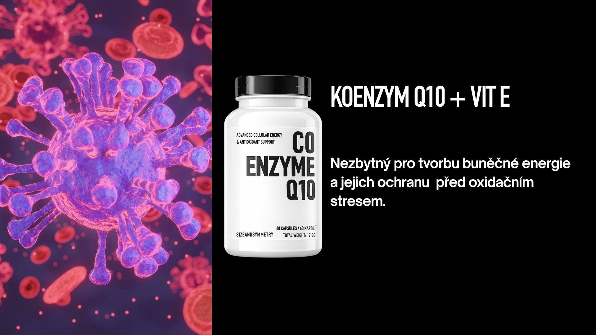 koenzymq10 sizeandsymmetry